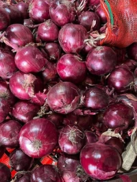 Fresh red onions